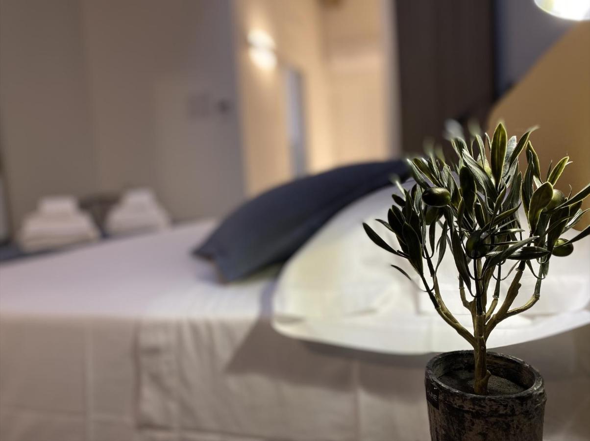 L'Ulivo Comfort Rooms 테라시니 외부 사진